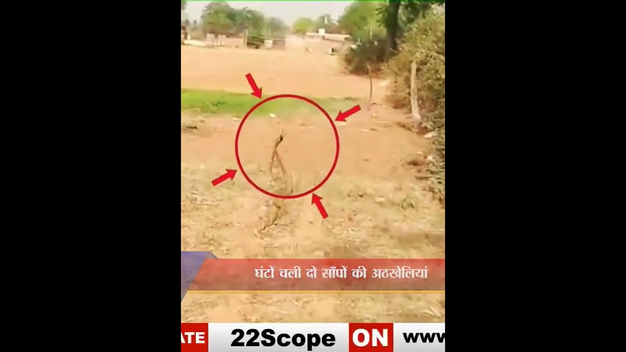 नागिन डांस | snake dance