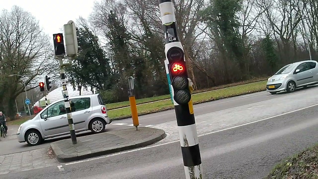 20250211 022134