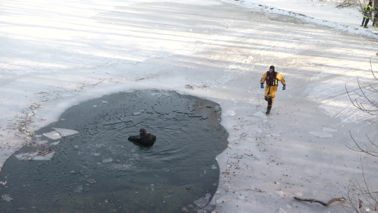 Eisrettung: Rettungskräfte trainieren den Ernstfall