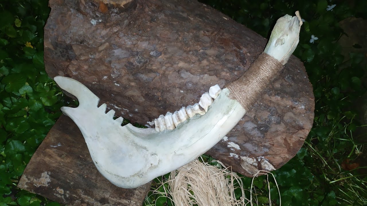 PRIMITIVE JAWBONE TOMAHAWK