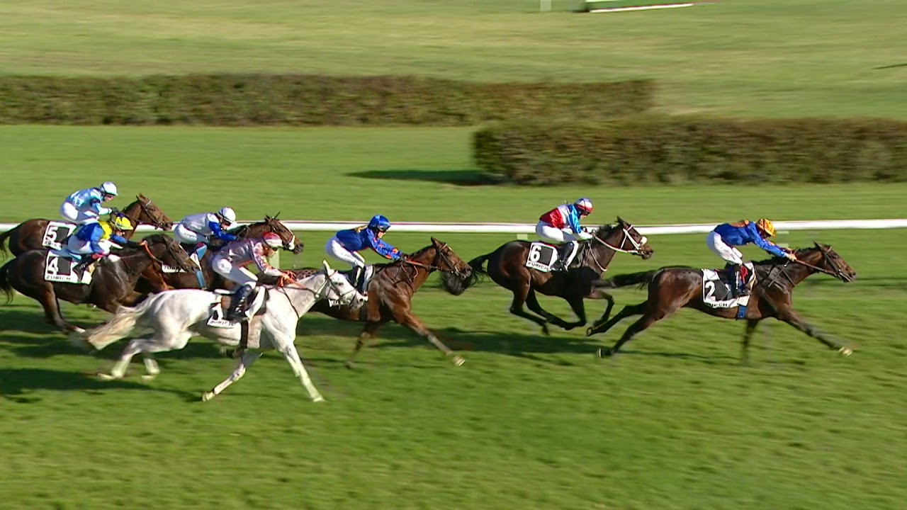 Dielsdorf - Grand Handicap   Preis des Rennvereins Zurich