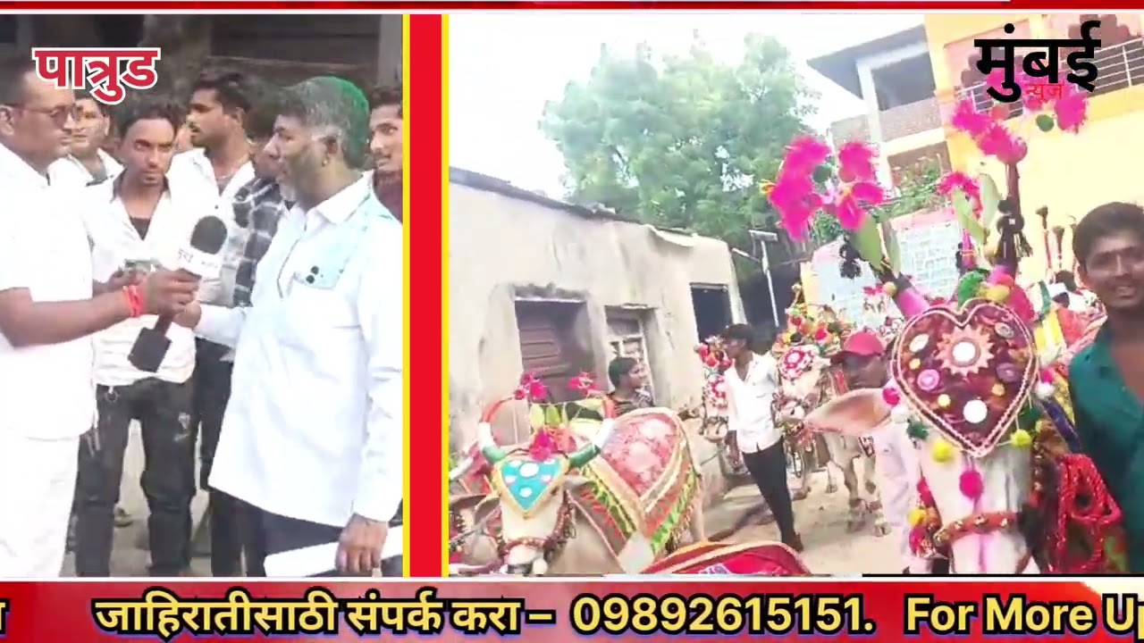 पात्रुड मध्ये बैल पोळा उत्साहात साजरा 