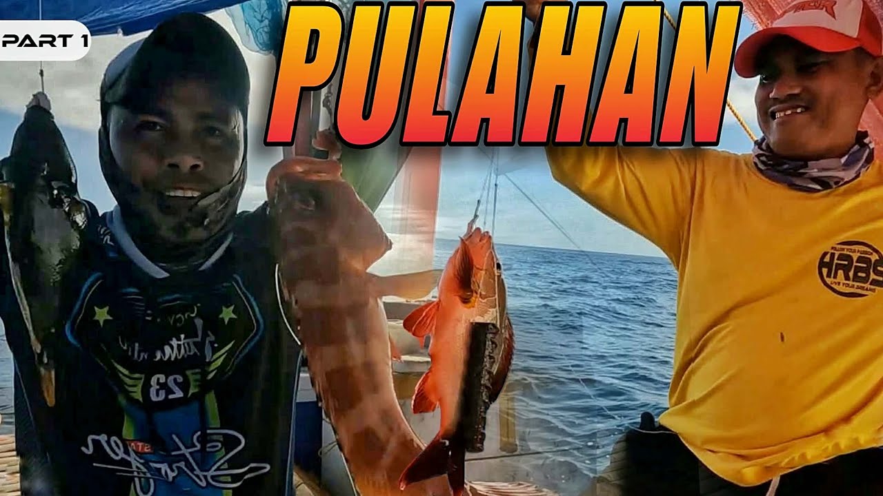 P1 - PULAHAN