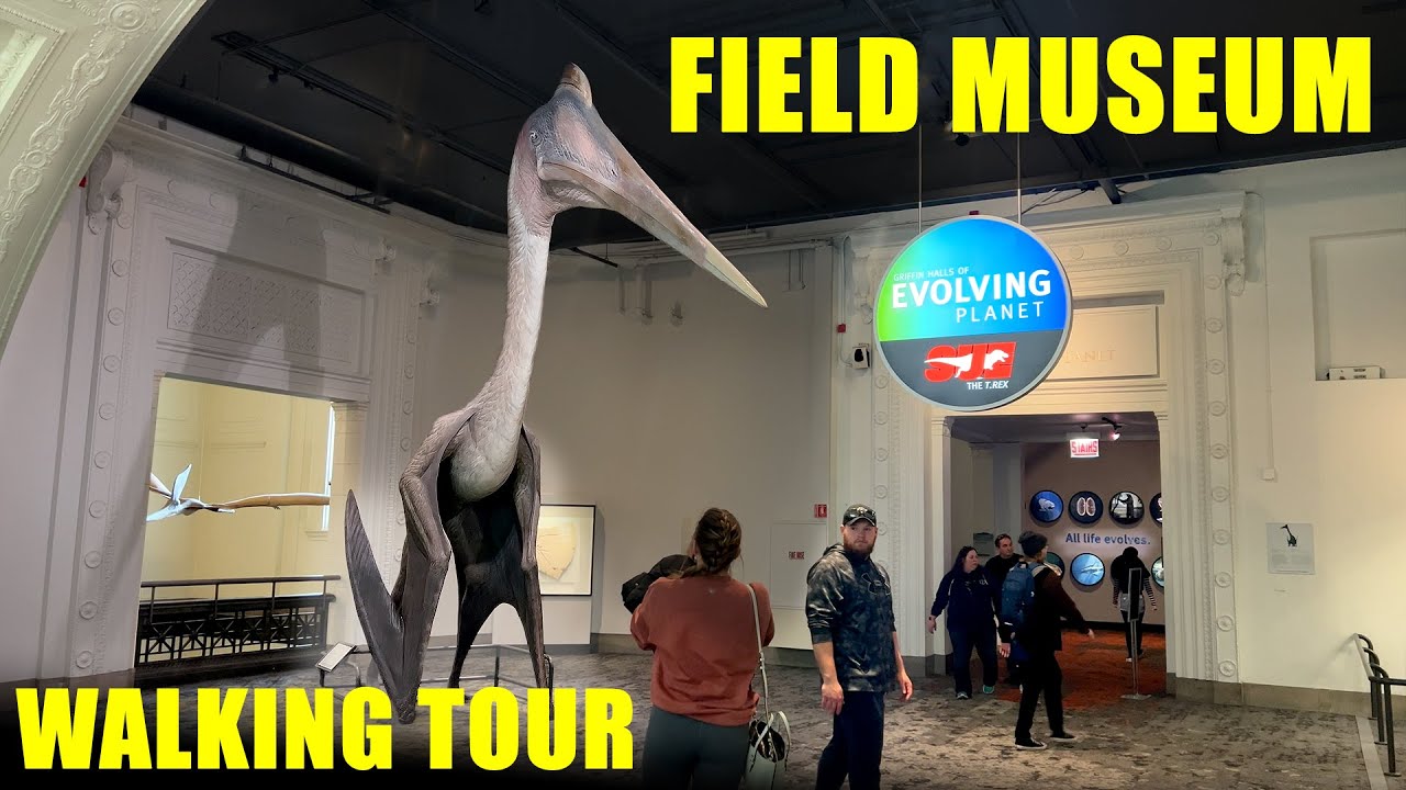 Field Museum - Chicago Natural History Museum - Full Walkthrough - Walking Tour - Relaxing - 4K