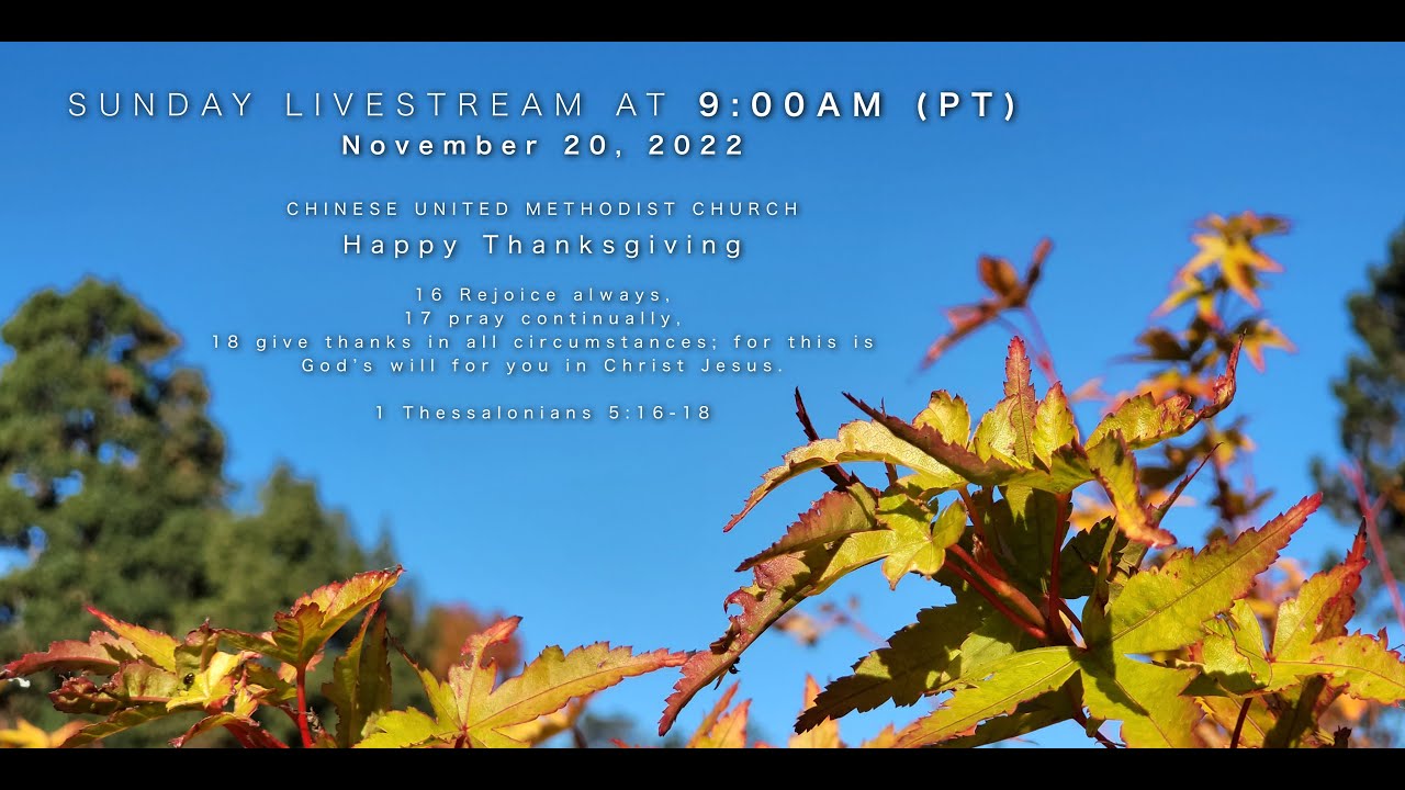 God&rsquo;s Will for You (11.20.2022)