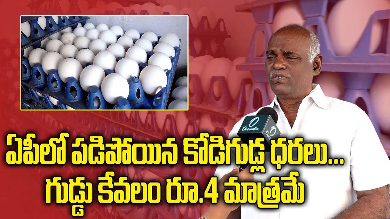 తగ్గిన గుడ్డు ధర.. సామాన్యులకు పండగే! | Today Egg Rate in AP | Oneindia Telugu
