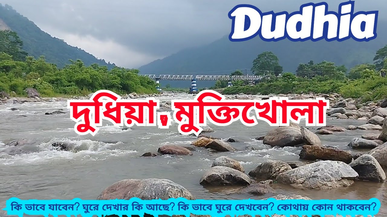Dudhia Siliguri । Dudhia picnic spot । Mukhtikhola jhorna । Dudhia Homestay । Siliguri to Mirik