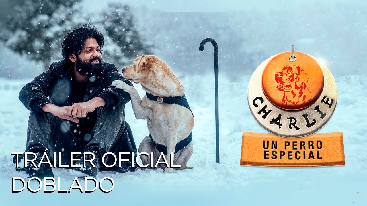 Charile Un Perro Especial | Tráiler Oficial Doblado | Estreno 12 de Diciembre 2024