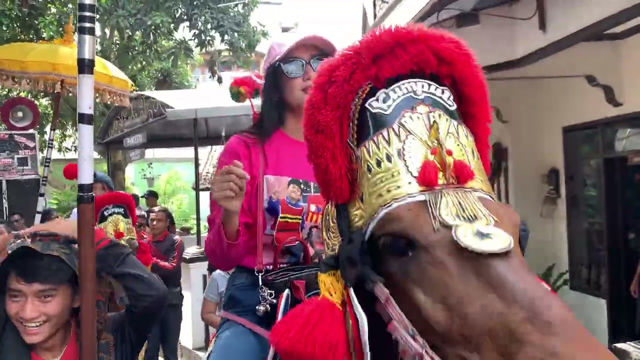 Kuda Renggong Cuta Muda Di Cipacing Jatinangor 