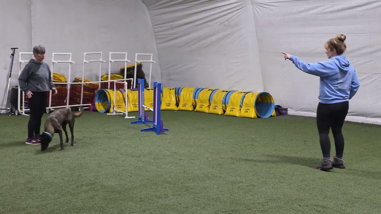 Sekas agility journey Feb 22 