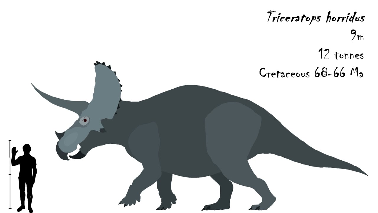 Dinosaur Size Comparison - PDFC Season #2