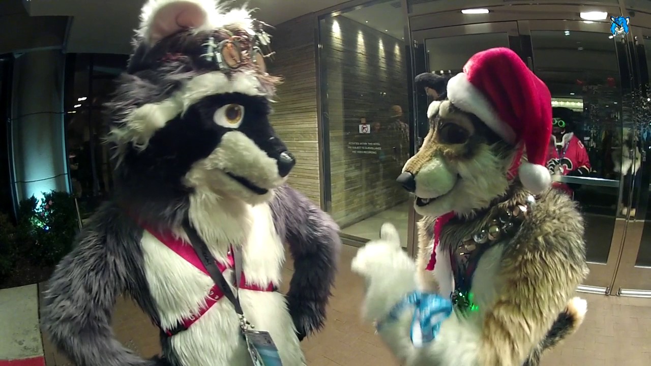 Midwest Furfest 2016 -  Meeting Klaus !