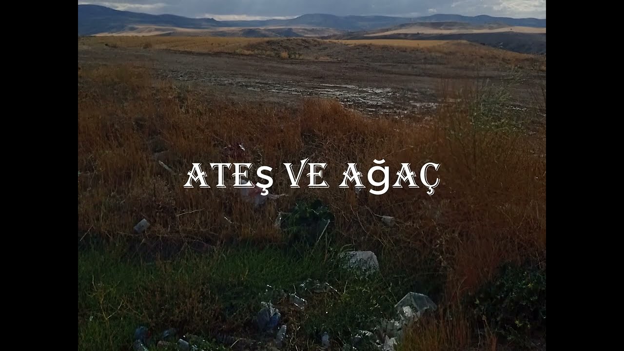 2) Bedir - Ateş ve Ağaç (Lyric Video)