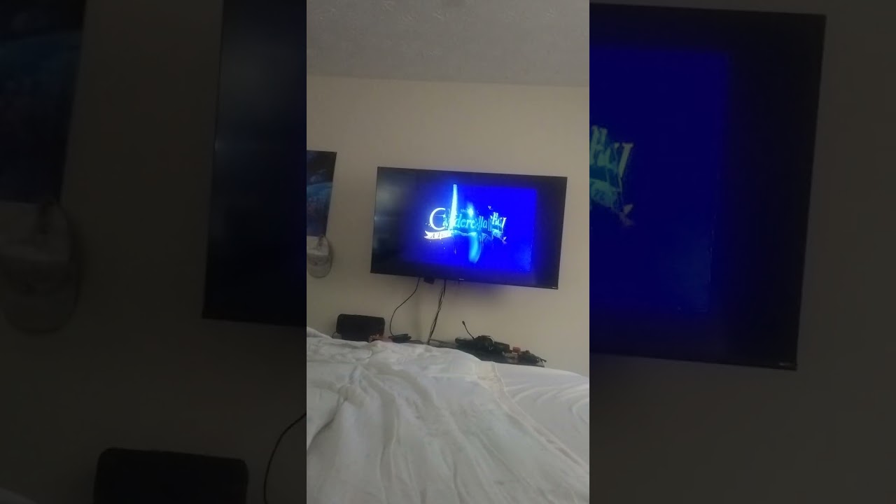 Opening to Air buddies 2006 DVD