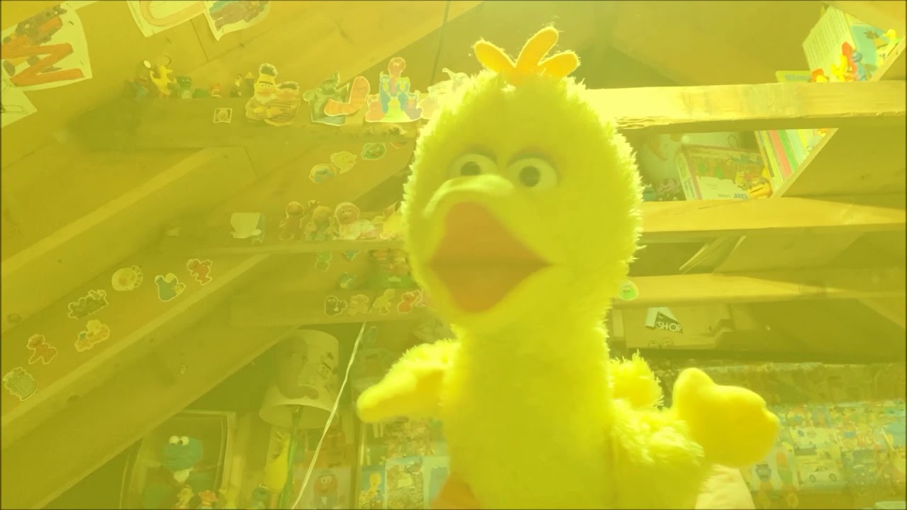 The Happiest Street in the World