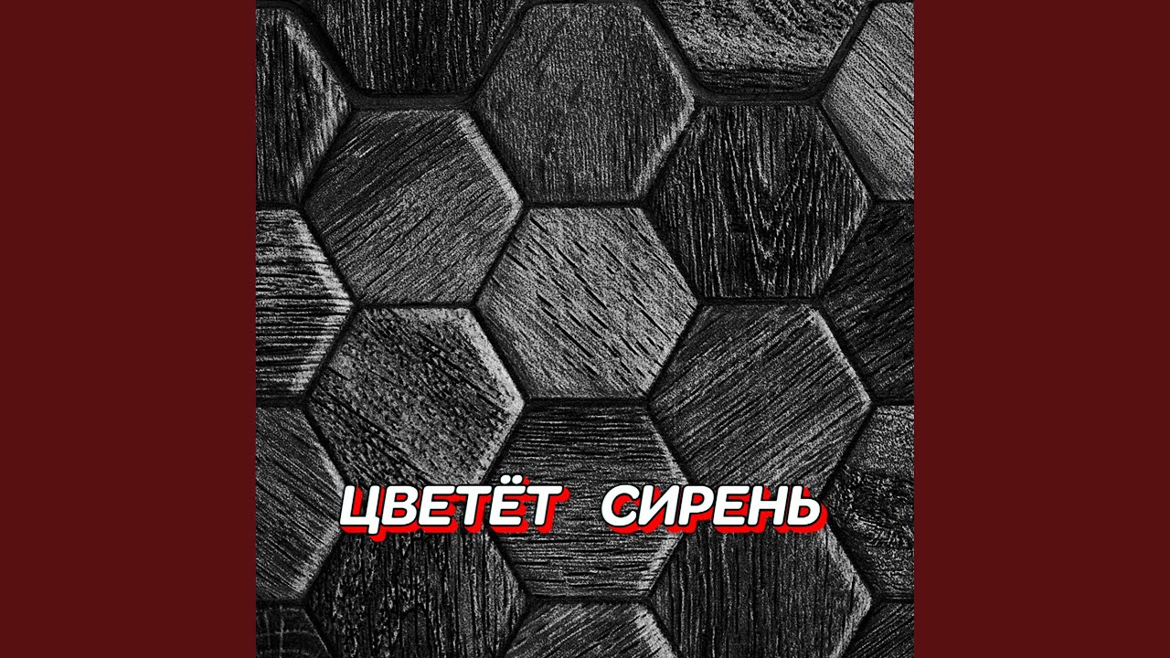 ЦВЕТЁТ СИРЕНЬ