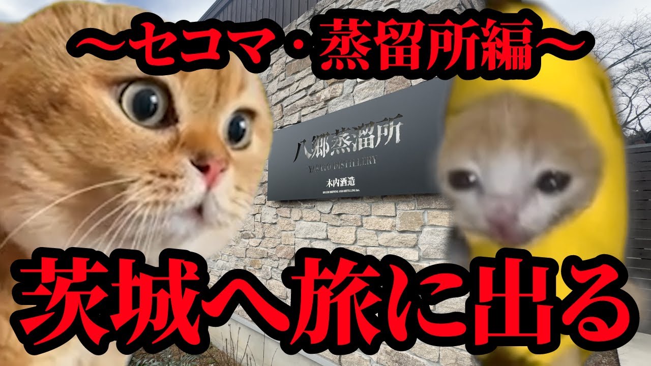 茨城へ旅に出る我が家　〜セコマ・蒸留所編〜 #猫マニ #猫ミーム