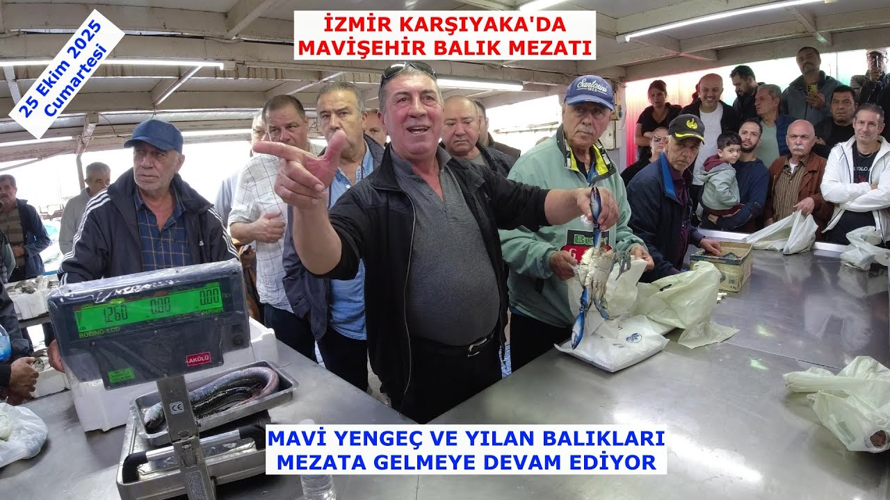25 EKİM 2025 CUMARTESİ. MAVİŞEHİR BALIK MEZATI. MAVİ YENGEÇ VE YILAN BALIKLARI GELDİ YİNE.