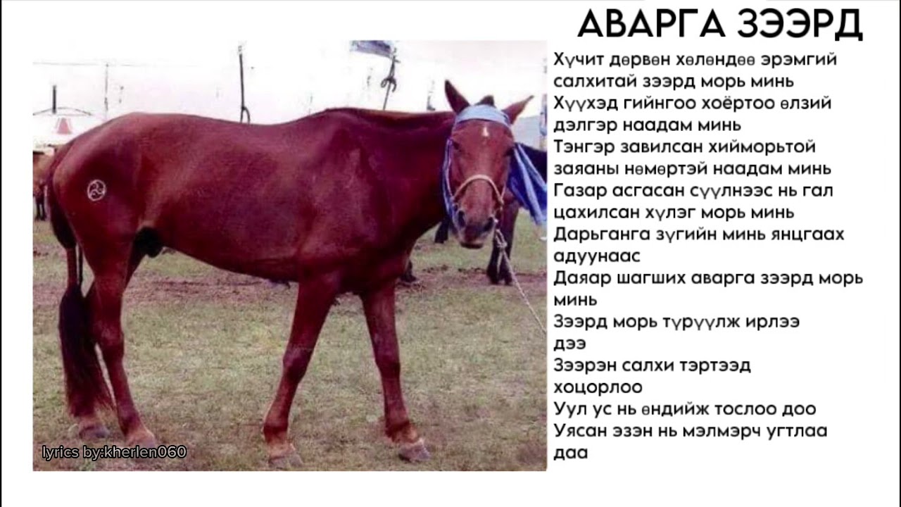 Аварга зээрд үгтэй