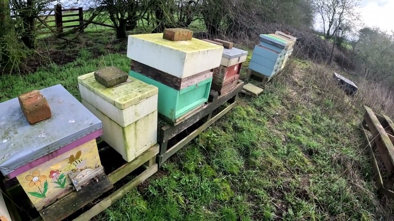 The 10000th day of Rain,  checking in on bees, taking the izuzu dmax through a deep flood 