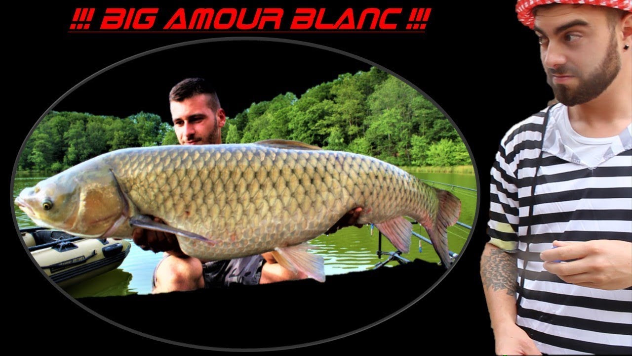 Pêche à la Carpe 2019 ***EVG Titou***