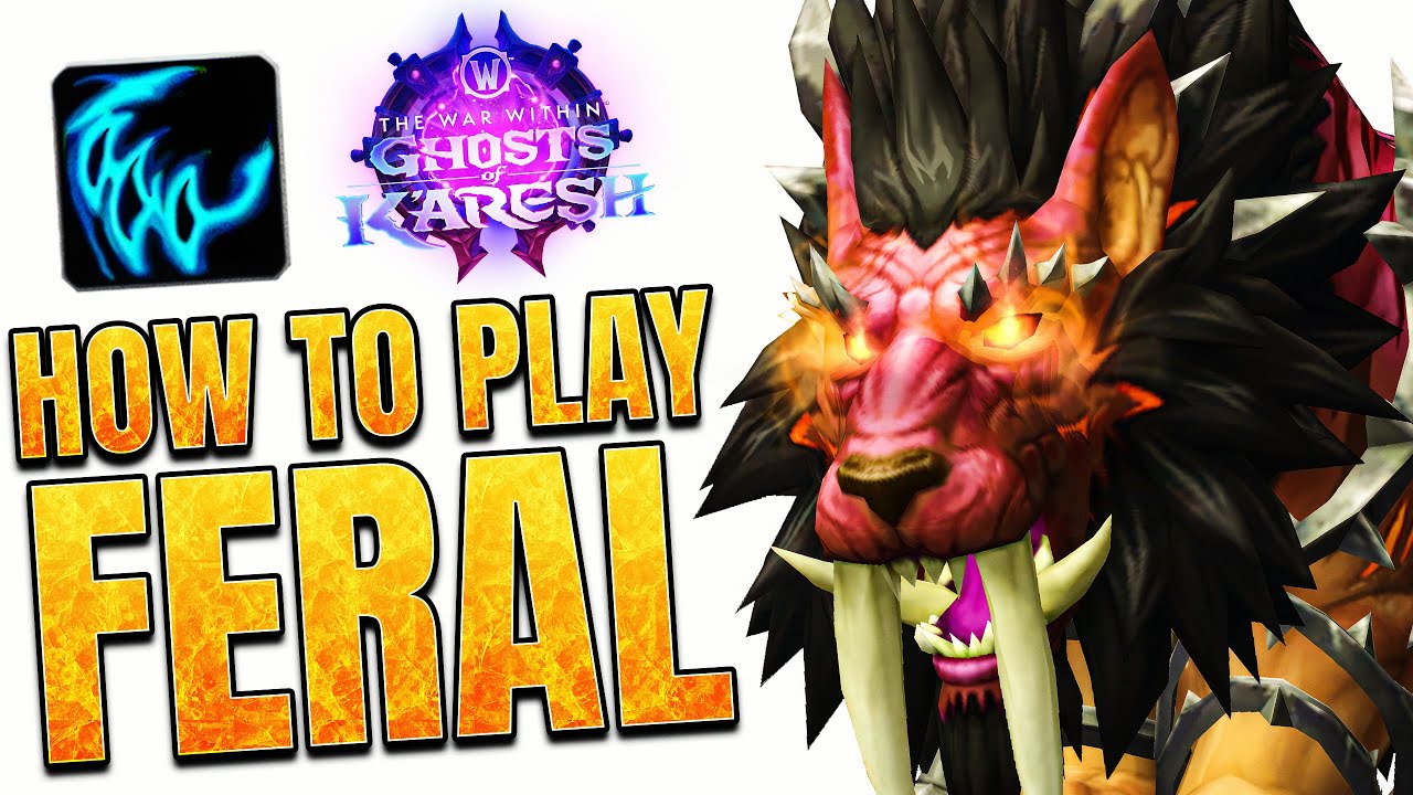 11.2 Feral Druid: РАЗБЕЙТЕ СЧЕТЧИКИ!
