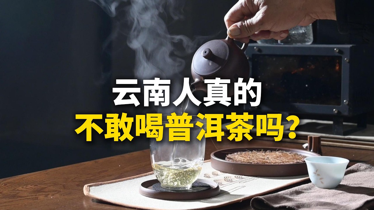 云南人真的不敢喝普洱茶吗？