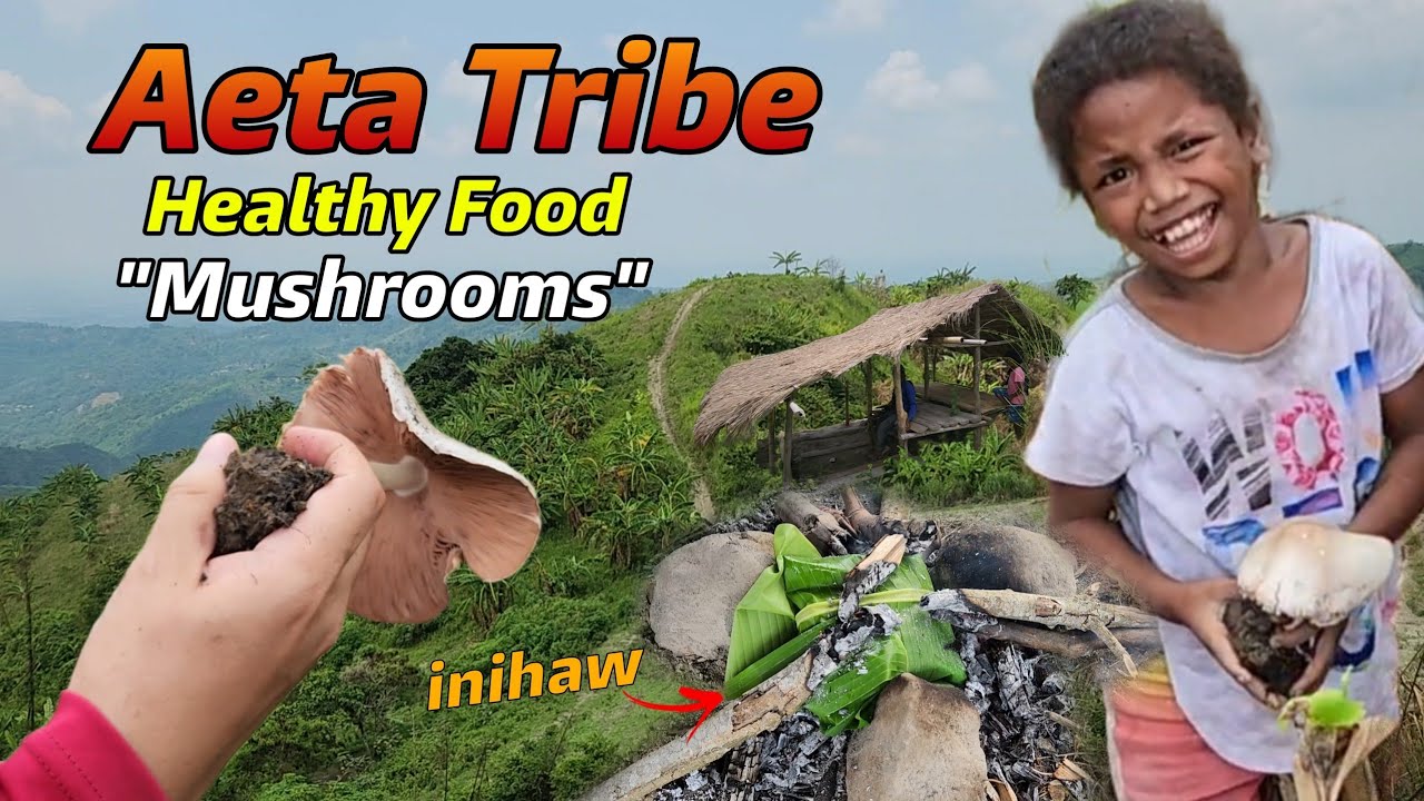 Ang Daming Mushrooms Sa Bundok Kung Masipag Ka Lang Maghanap May Ulam kana Healthy pa!
