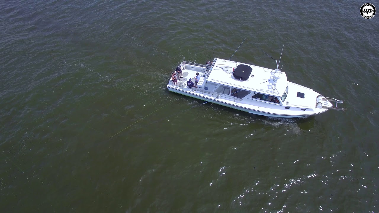 Uranko Productions Drone Videography Services