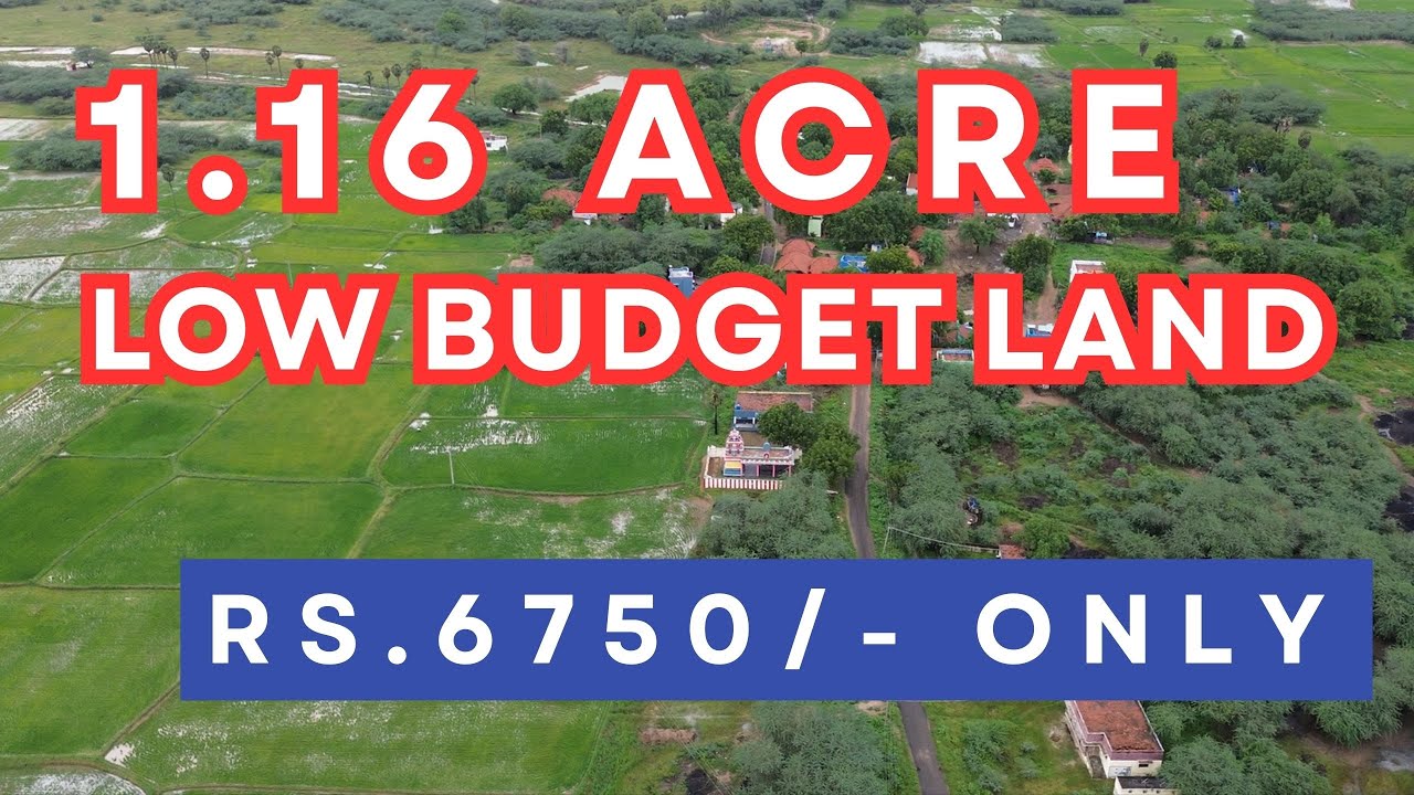 1.16 Acre - Rs.6750/- Hurry up!!! #agriculture #land #shortsviral #short #farming