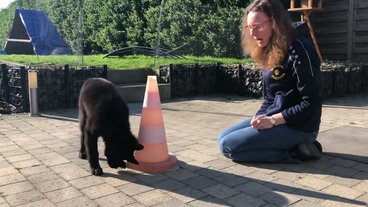 Baico - tik & tak foundation - 14.04.22