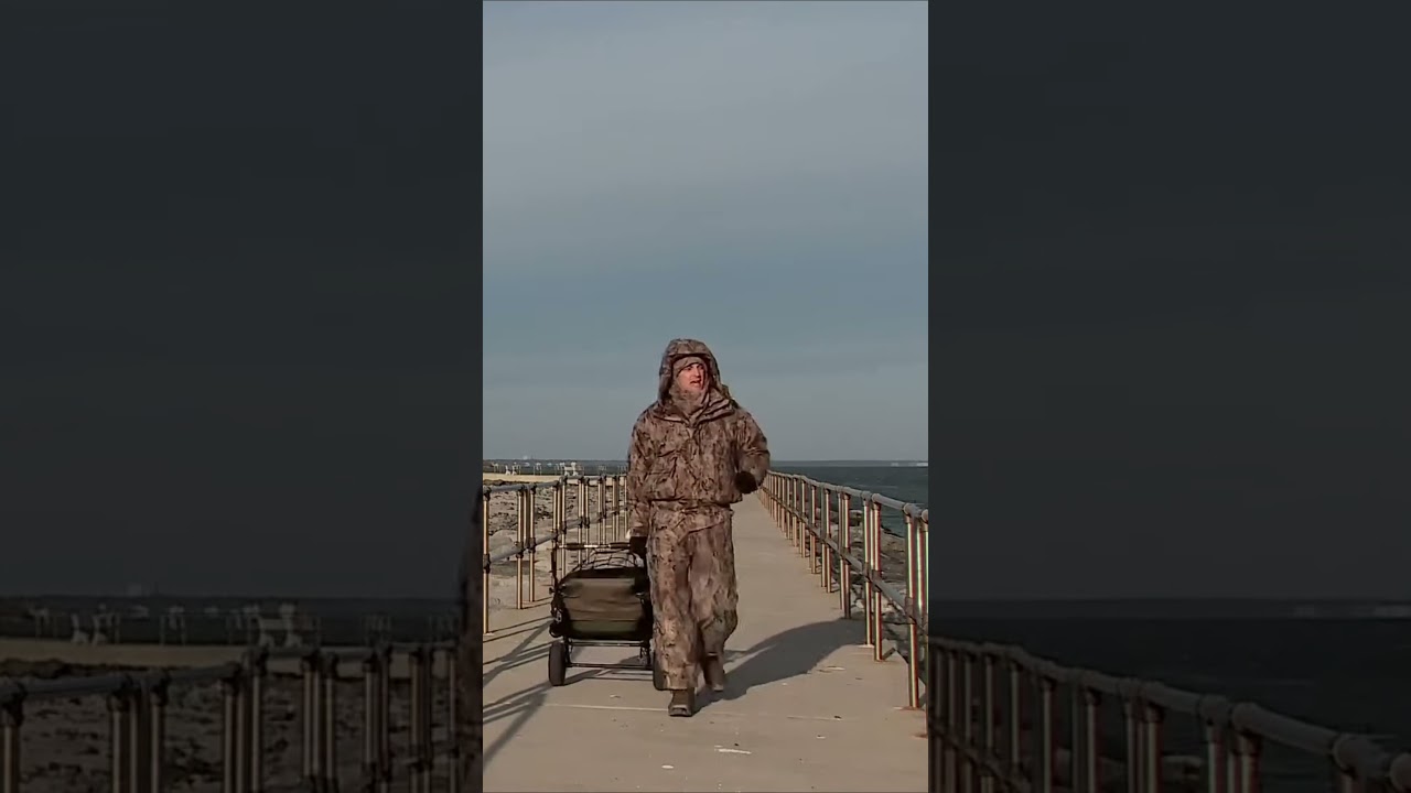 Exploring Barnegat Jetty Majestic birds