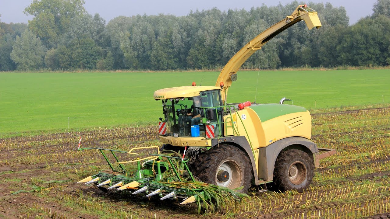 Primeur! Krone BIG X 580 in action!