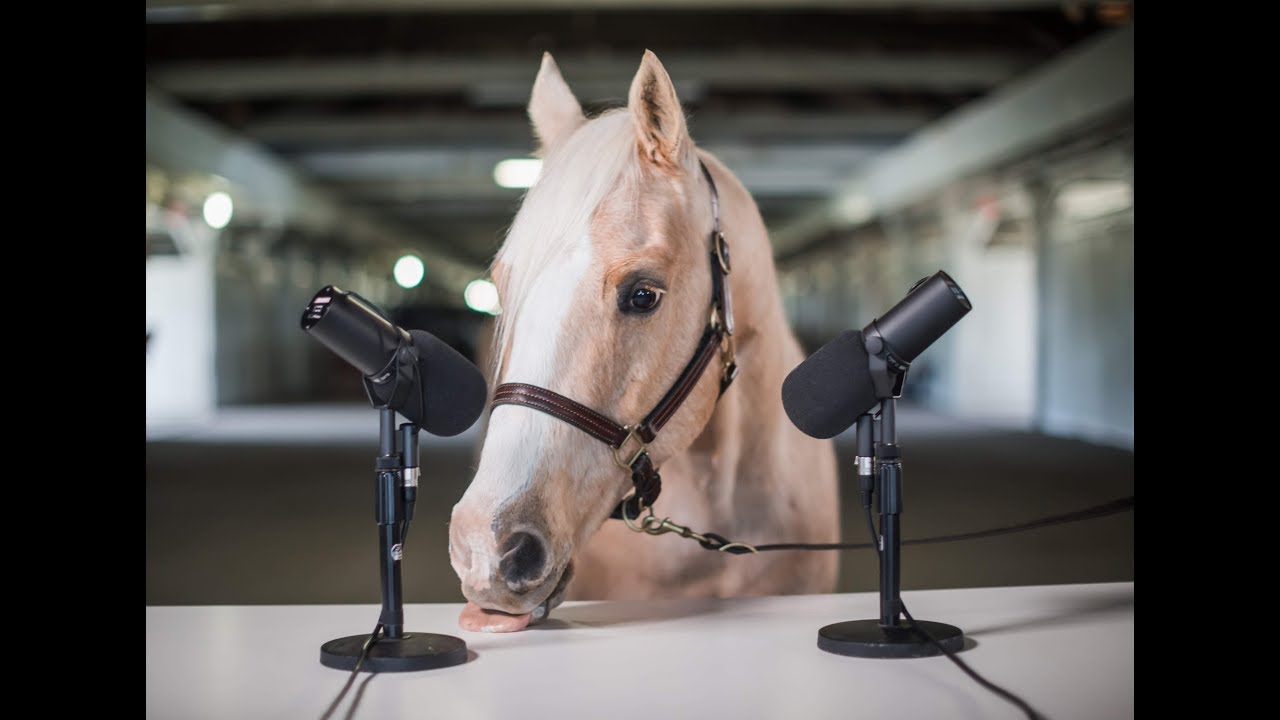 NEIGH-SMR (aka Horse Eating ASMR)