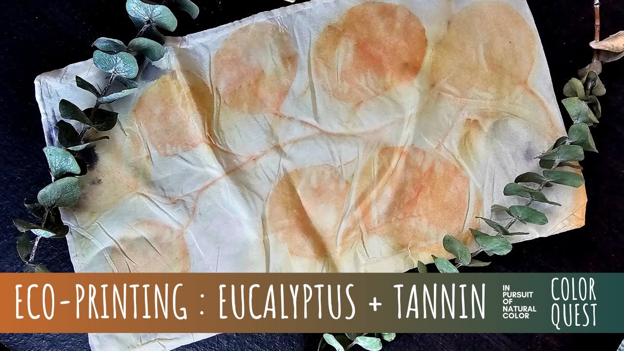 HOW TO ECO-PRINT WITH EUCALYPTUS & TANNIN MORDANT | ORGANIC COLOR | SILK COTTON | BUNDLE DYE