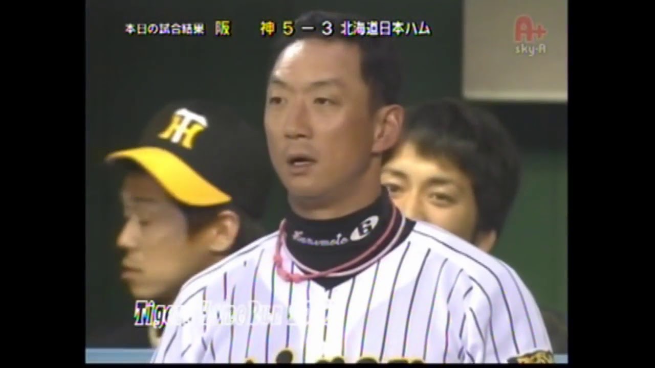 阪神タイガース 2007 ホームラン 林威助