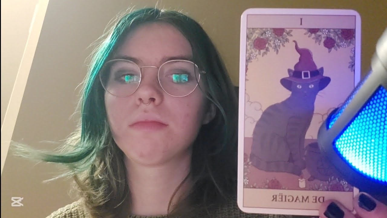 choose your own unprofessional cat tarot reading (asmr)