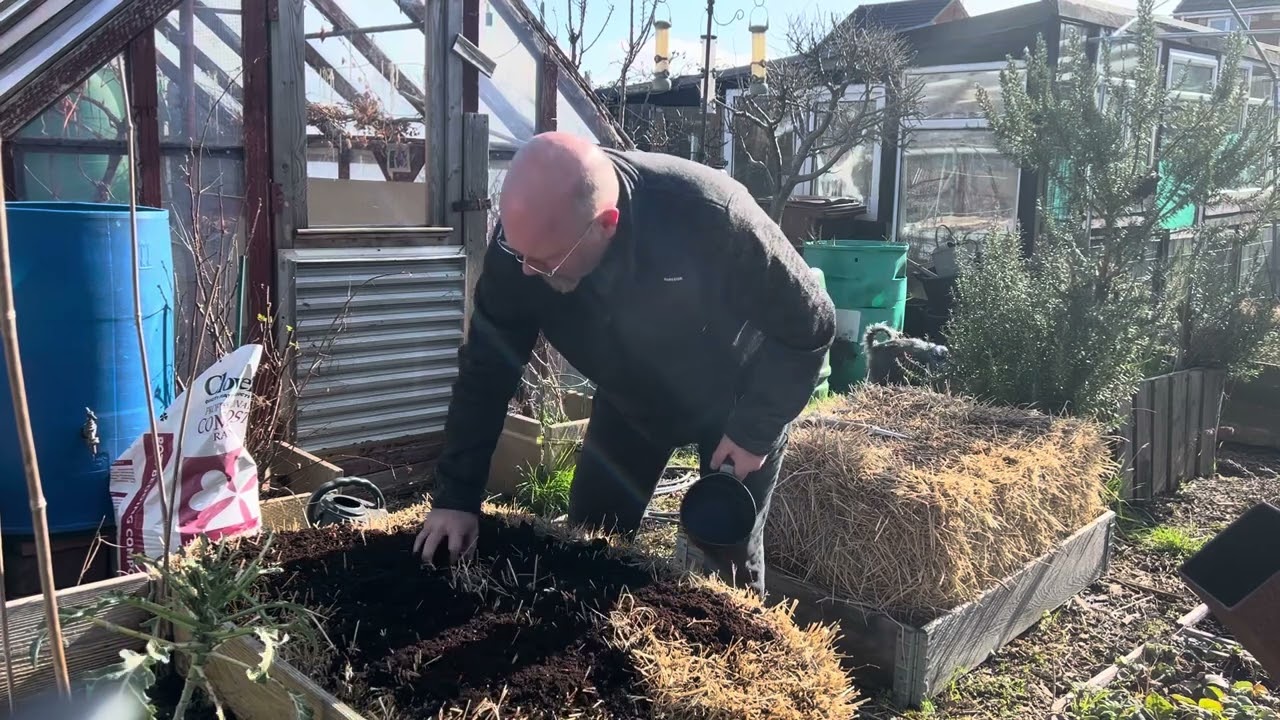 Strawbale Vegetable Gardening two weeks of preparation in 20 minutes