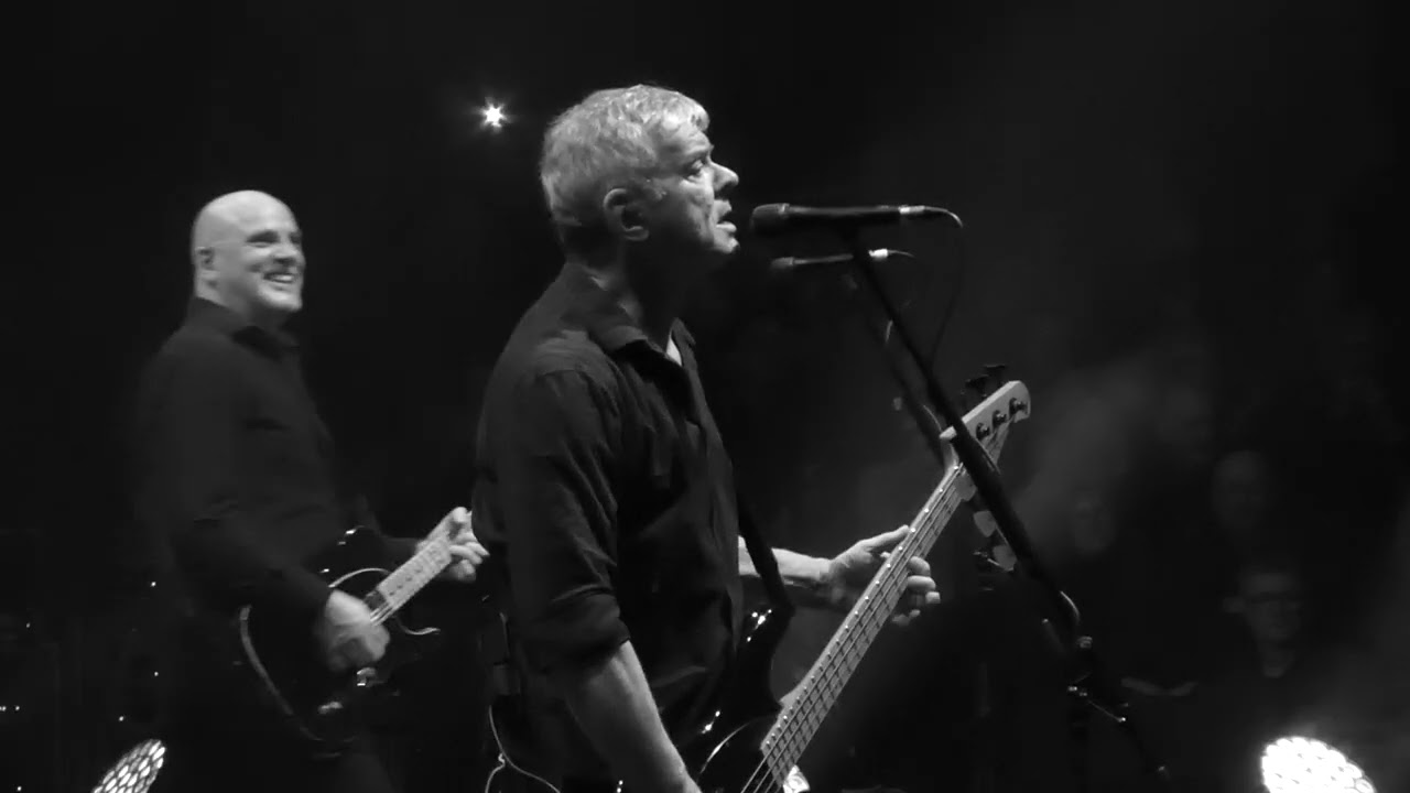 Always the Sun -Golden Brown - The Stranglers @ Royal Albert Hall 26th March 2024