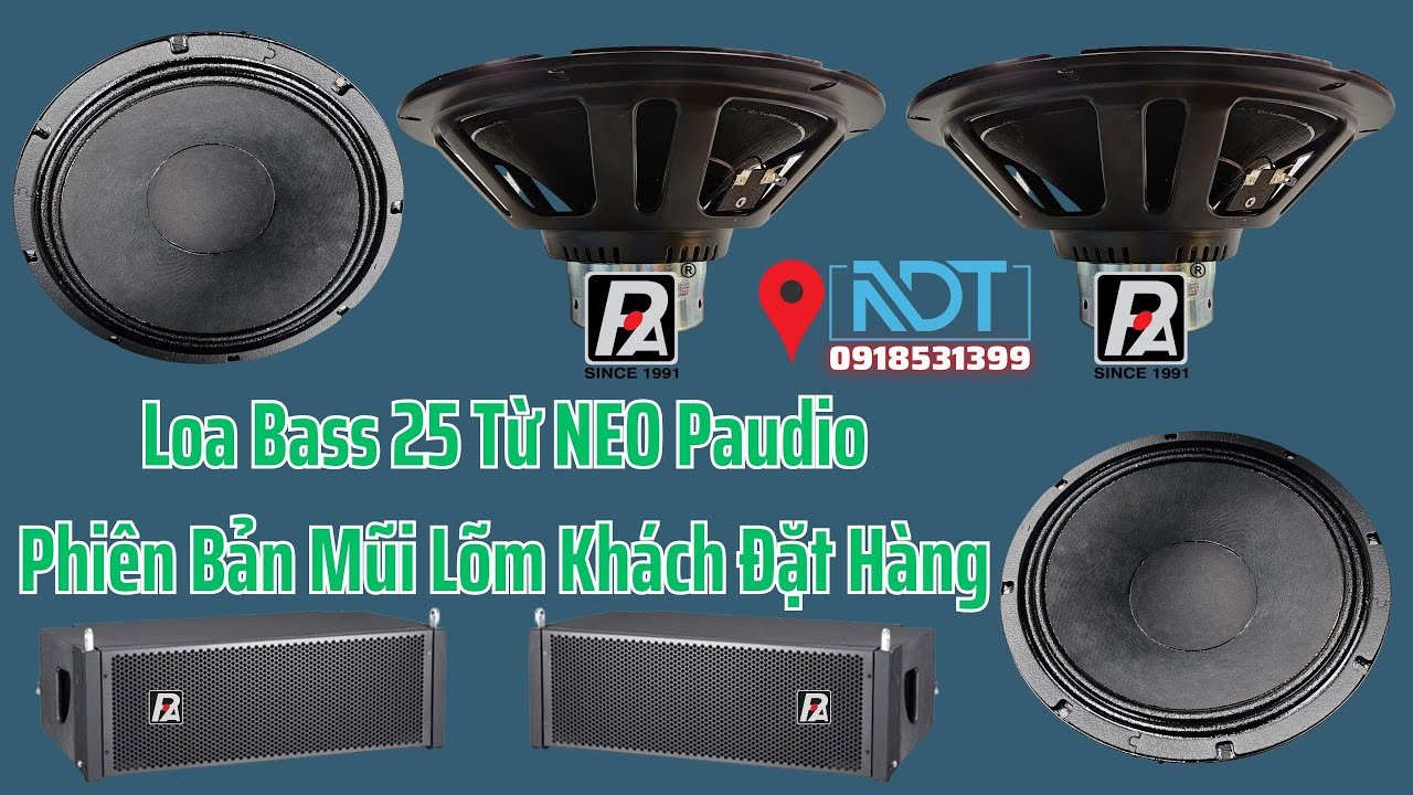 Loa Bass 25 Paudio, E10 300N Phi&ecirc;n Bản Mũi L&otilde;m, Gửi Kh&aacute;ch H&agrave; Nội