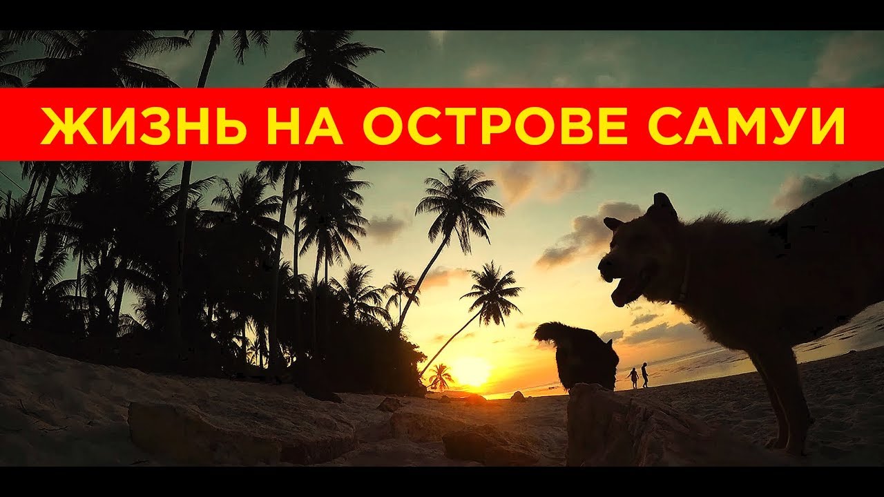 Жизнь на острове Самуи 2015 год