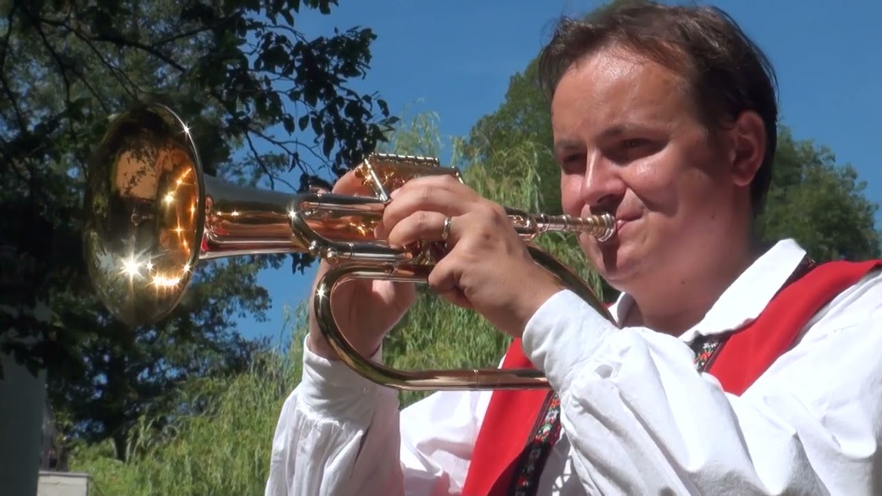 Josef Vejvoda - Romance pro křídlovku