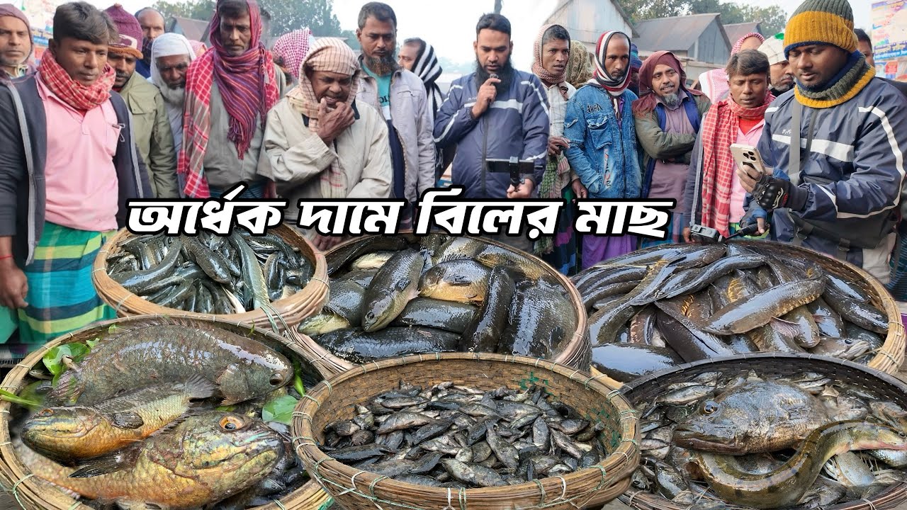 আর মাএ কিছু দিন পাওয়া যাবে সস্তায় আড়িয়াল বিলের মাছ! Village fish market Dobli Bazar | Dohar Fish
