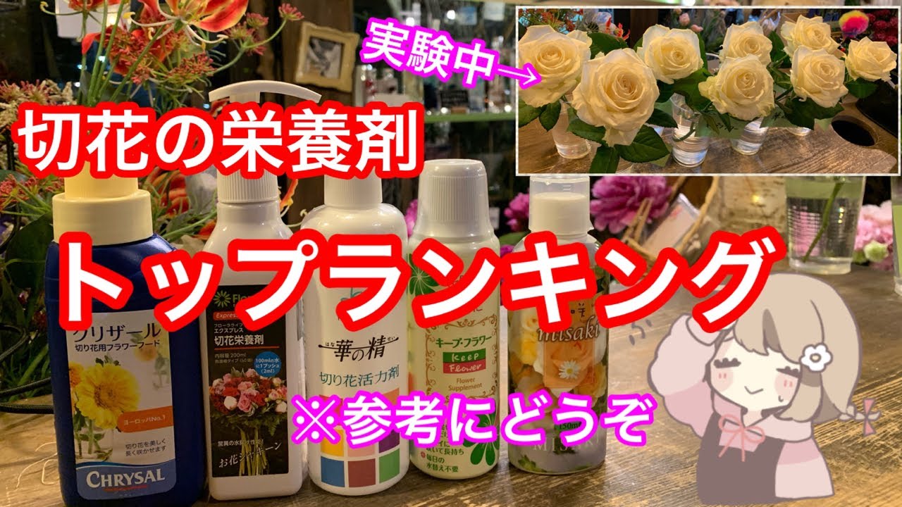 花を長持ちさせる切り花の栄養剤の実験してみたら意外な結末に…