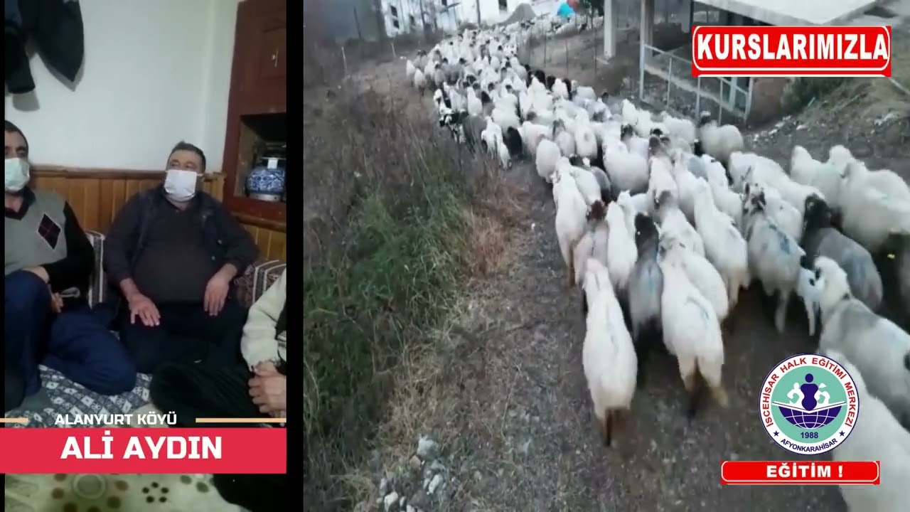 MOR KOYUN (SÜRÜ YÖNETİMİ ELEMANI KURSU)