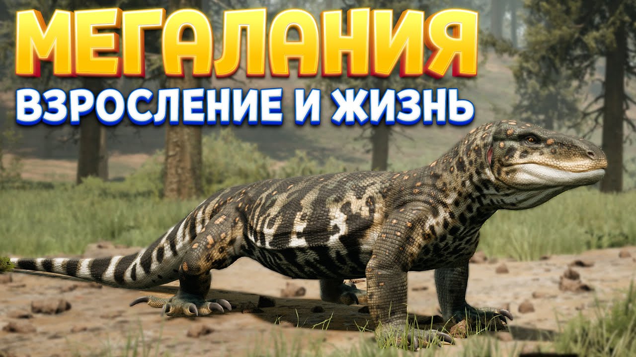 МЕГАЛАНИЯ ЖИЗНЬ И ВЗРОСЛЕНИЕ ( Path of Titans )