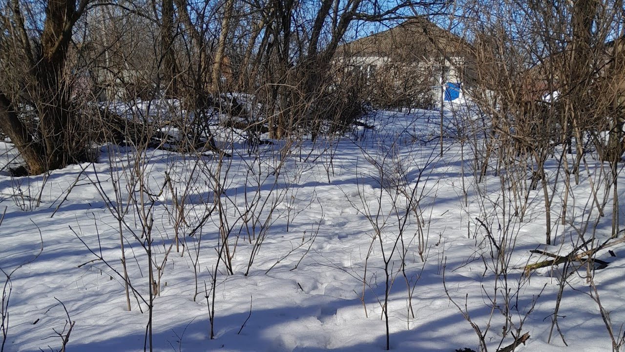 Розчарування повне в годівлі...