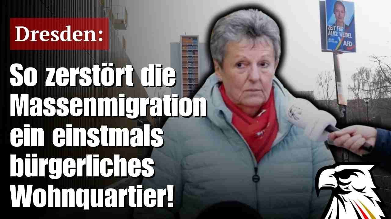 Dresden: So zerstört die Massenmigration ein einstmals bürgerliches Wohnquartier!