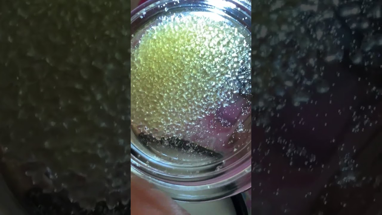 West coast Alchemy Zwamp walker full melt 90u #wca