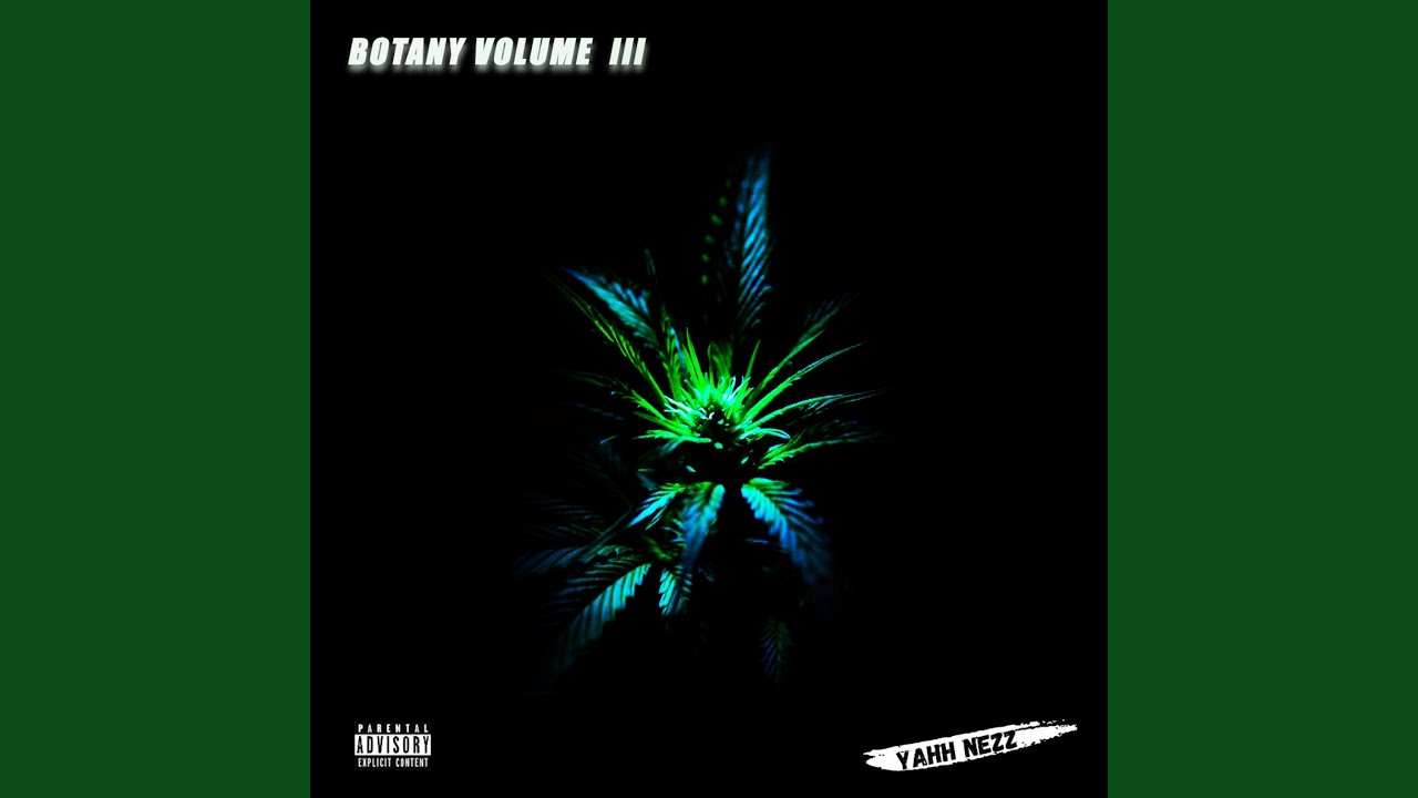 SAN FERNANDO VALLEY OG (feat. BENJAMIN FRANKLIN)